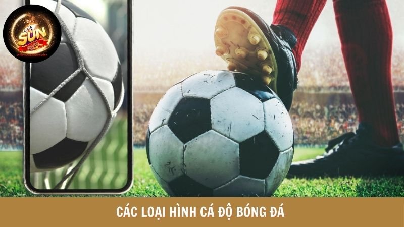 Bóng đá SUNWIN - Các loại hình cá độ hấp dẫn 