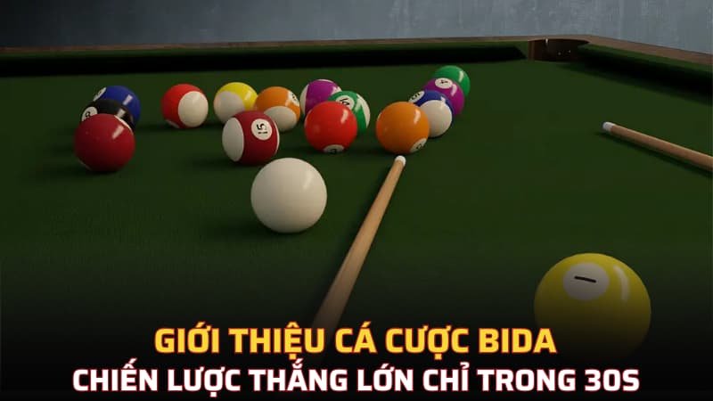 cá cược bida