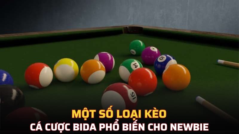 Một số loại kèo cá cược bida phổ biến cho newbie